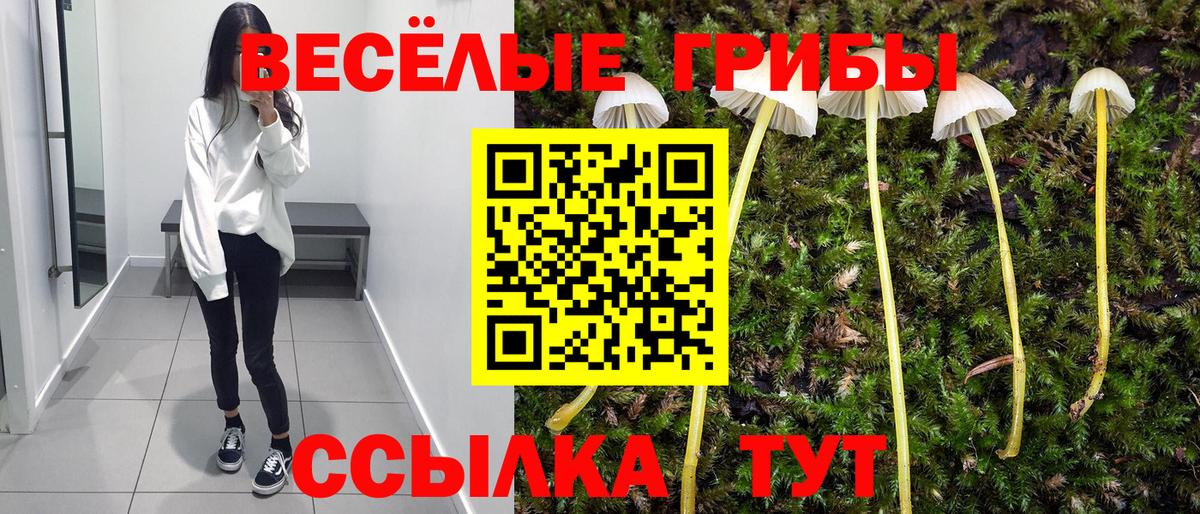 Псилоцибиновые грибы мухоморы  купить наркотики сайты  Кудымкар  Вход с VPN  Псилоцибиновые грибы мухоморы 